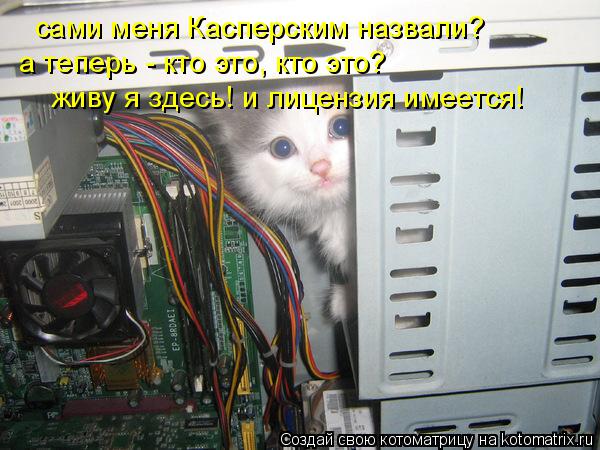 сами меня Касперским назвали? а теперь - кто это, кто это? живу я здесь! и лицензия имеется!... Котоматрица: сами меня Касперским назвали? а теперь - кто это, кто это? живу я здесь! и лицензия имеется!