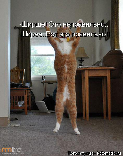 -Ширше! Это неправильно.. Ширее..Вот это правильно!!... Котоматрица: -Ширше! Это неправильно.. Ширее..Вот это правильно!!