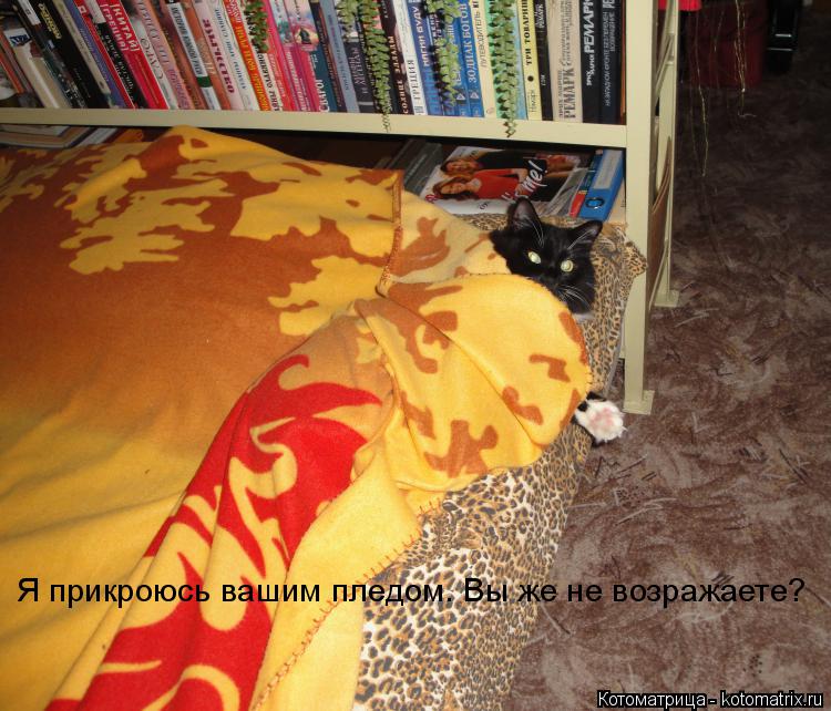 Я прикроюсь вашим пледом. Вы же не возражаете?... Котоматрица: Я прикроюсь вашим пледом. Вы же не возражаете?