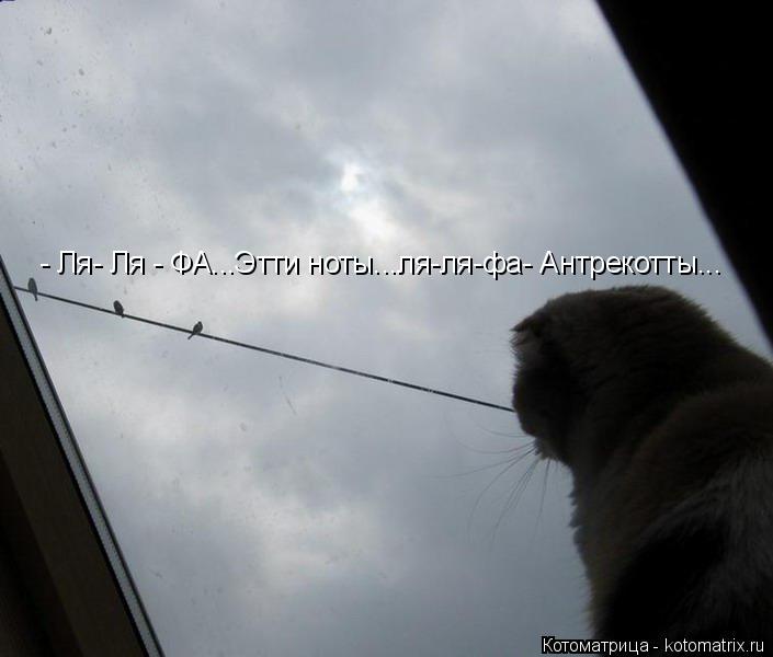 - Ля- Ля - ФА...Этти ноты...ля-ля-фа- Антрекотты...... Котоматрица: - Ля- Ля - ФА...Этти ноты...ля-ля-фа- Антрекотты...
