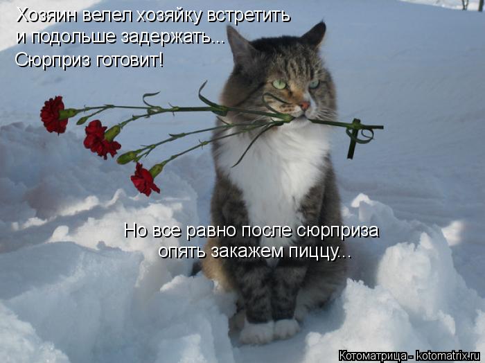 Хозяин велел хозяйку встретить и подольше задержать... Сюрприз готовит! Но все равно после сюрприза о... Котоматрица: Хозяин велел хозяйку встретить и подольше задержать... Сюрприз готовит! Но все равно после сюрприза опять закажем пиццу...
