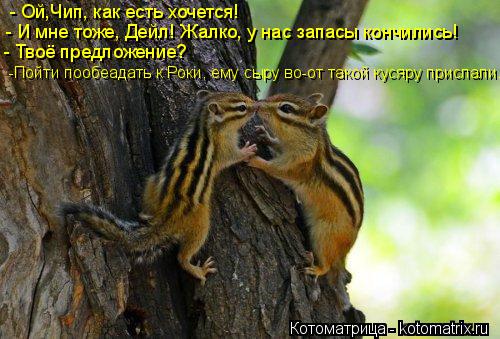 - Ой,Чип, как есть хочется! - И мне тоже, Дейл! Жалко, у нас запасы кончились! - Твоё предложение? -П... Котоматрица: - Ой,Чип, как есть хочется! - И мне тоже, Дейл! Жалко, у нас запасы кончились! - Твоё предложение? -Пойти пообеадать к Роки, ему сыру во-от такой к