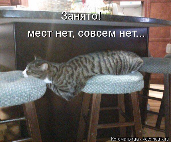 Занято! мест нет, совсем нет...... Котоматрица: Занято! мест нет, совсем нет...