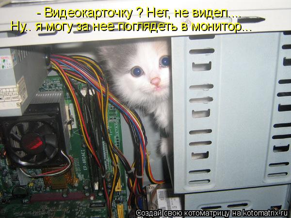 - Видеокарточку ? Нет, не видел.... Ну.. я могу за нее поглядеть в монитор...... Котоматрица: - Видеокарточку ? Нет, не видел.... Ну.. я могу за нее поглядеть в монитор...