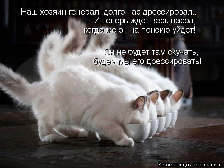 Наш хозяин генерал, долго нас дрессировал... И теперь ждет весь народ, когда же он на пенсию уйдет! ... Котоматрица: Наш хозяин генерал, долго нас дрессировал... И теперь ждет весь народ, когда же он на пенсию уйдет! Он не будет там скучать, будем мы его дрес