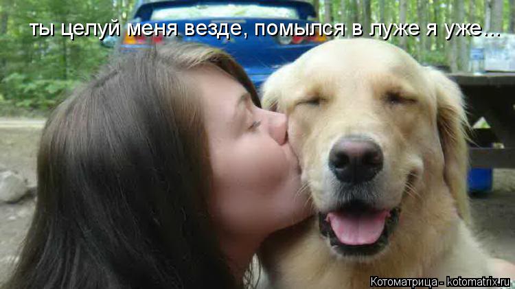 ты целуй меня везде, помылся в луже я уже...... Котоматрица: ты целуй меня везде, помылся в луже я уже...