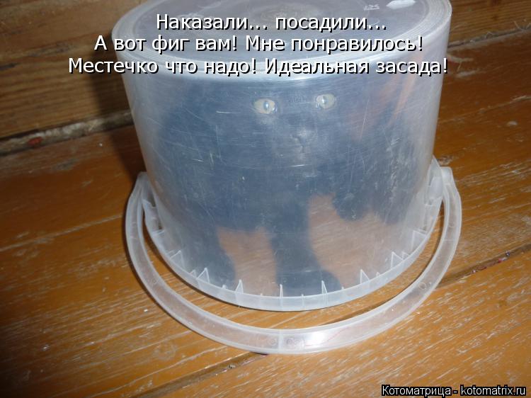Наказали... посадили... А вот фиг вам! Мне понравилось! Местечко что надо! Идеальная засада!... Котоматрица: Наказали... посадили... А вот фиг вам! Мне понравилось! Местечко что надо! Идеальная засада!