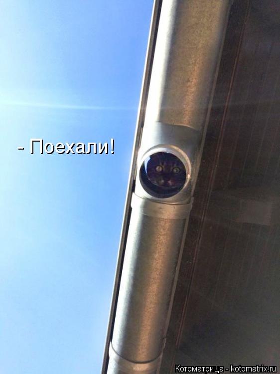 - Поехали!... Котоматрица: - Поехали!