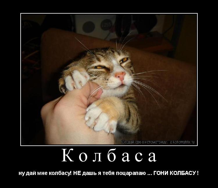 Колбаса ну дай мне колбасу! НЕ дашь я тебя поцарапаю ... ГОНИ КОЛБАСУ !... Котоматрица: Колбаса ну дай мне колбасу! НЕ дашь я тебя поцарапаю ... ГОНИ КОЛБАСУ !