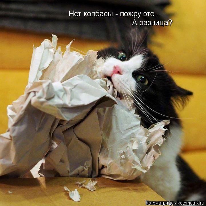 Котоматрица: Нет колбасы - пожру это... А разница?