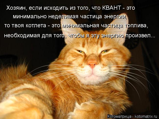 Хозяин, если исходить из того, что КВАНТ - это минимально неделимая частица энергии, то твоя котлета ... Котоматрица: Хозяин, если исходить из того, что КВАНТ - это минимально неделимая частица энергии, то твоя котлета - это минимальная частица топлива, необх