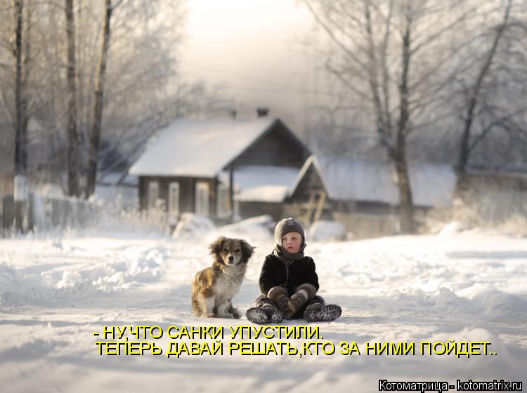 - НУ,ЧТО САНКИ УПУСТИЛИ. ТЕПЕРЬ ДАВАЙ РЕШАТЬ,КТО ЗА НИМИ ПОЙДЕТ..... Котоматрица: - НУ,ЧТО САНКИ УПУСТИЛИ. ТЕПЕРЬ ДАВАЙ РЕШАТЬ,КТО ЗА НИМИ ПОЙДЕТ..