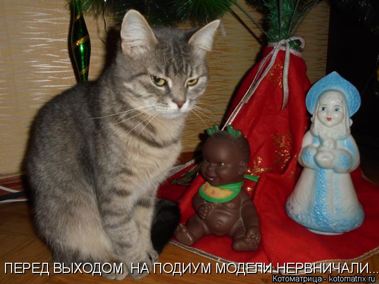 ПЕРЕД ВЫХОДОМ НА ПОДИУМ МОДЕЛИ НЕРВНИЧАЛИ...... Котоматрица: ПЕРЕД ВЫХОДОМ НА ПОДИУМ МОДЕЛИ НЕРВНИЧАЛИ...