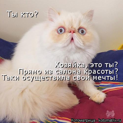 Хозяйка, это ты? Ты кто? Прямо из салона красоты? Таки осуществила свои мечты!... Котоматрица: Хозяйка, это ты? Ты кто? Прямо из салона красоты? Таки осуществила свои мечты!