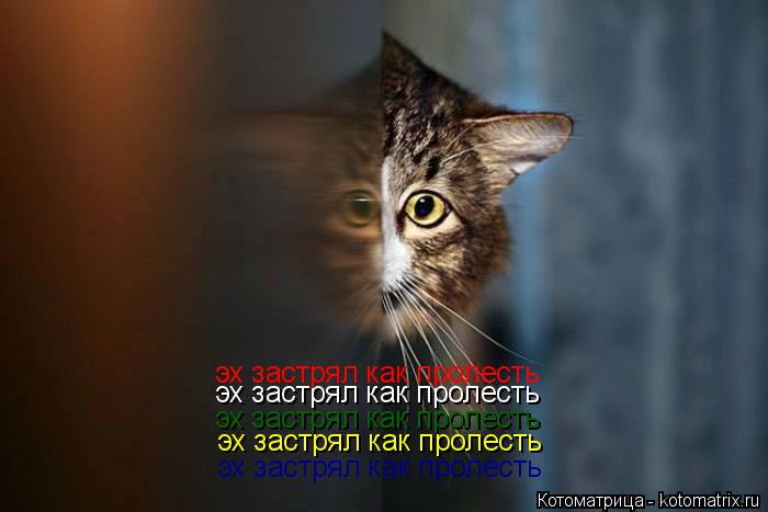 эх застрял как пролесть эх застрял как пролесть эх застрял как пролесть эх застрял как пролесть эх за... Котоматрица: эх застрял как пролесть эх застрял как пролесть эх застрял как пролесть эх застрял как пролесть эх застрял как пролесть