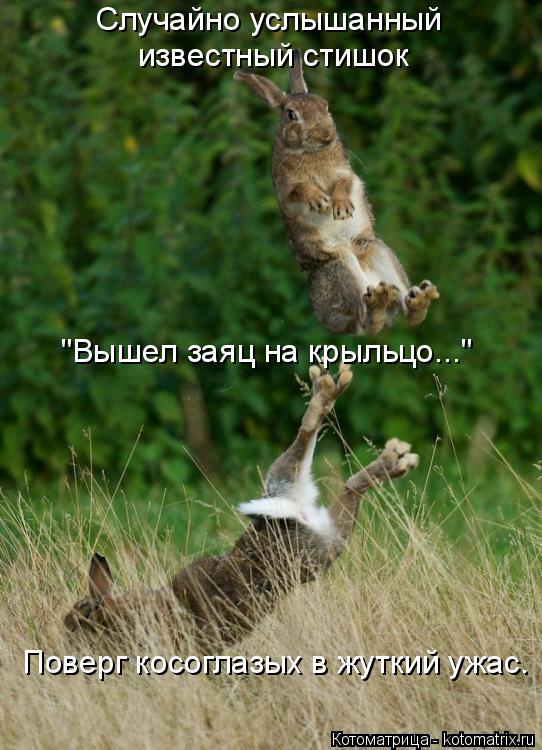 "Вышел заяц на крыльцо..." Поверг косоглазых в жуткий ужас. Случайно услышанный известный стишок... Котоматрица: "Вышел заяц на крыльцо..." Поверг косоглазых в жуткий ужас. Случайно услышанный известный стишок
