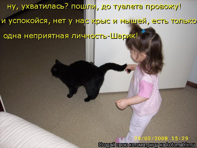 Котоматрица: ну, ухватилась? пошли, до туалета провожу! и успокойся, нет у нас крыс и мышей, есть только одна неприятная личность-Шарик!