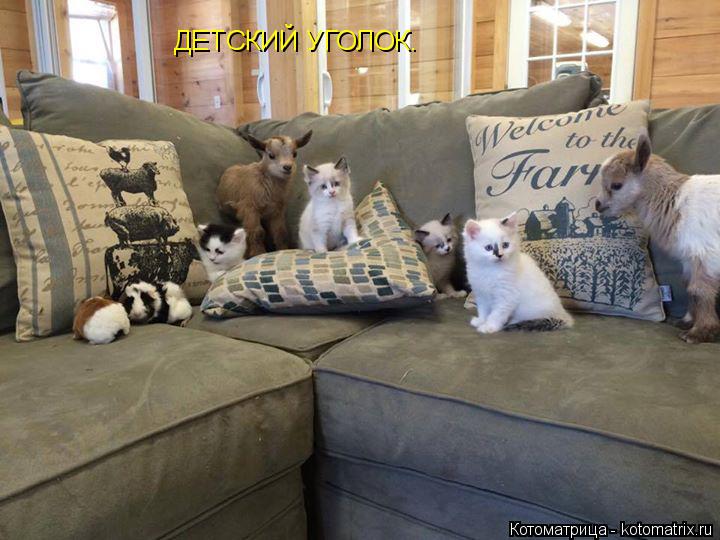 ДЕТСКИЙ УГОЛОК.... Котоматрица: ДЕТСКИЙ УГОЛОК.