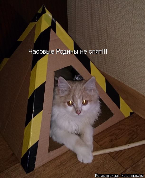 Часовые Родины не спят!!!... Котоматрица: Часовые Родины не спят!!!