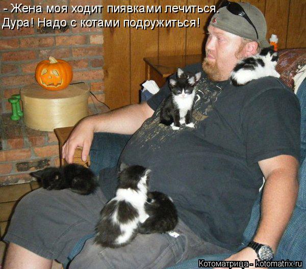- Жена моя ходит пиявками лечиться. Дура! Надо с котами подружиться!... Котоматрица: - Жена моя ходит пиявками лечиться. Дура! Надо с котами подружиться!