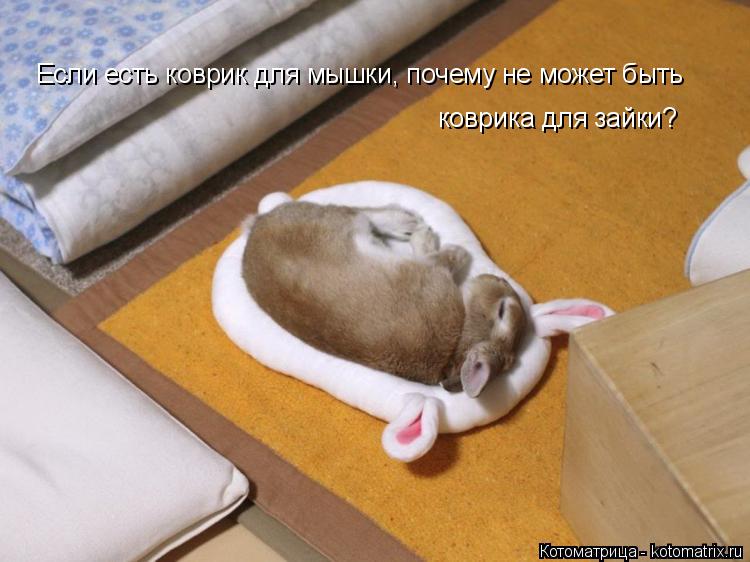 Котоматрица: Если есть коврик для мышки, почему не может быть  коврика для зайки?