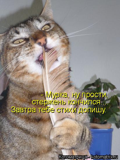 - Мурка, ну прости, стержень кончился.... Завтра тебе стихи допишу.... Котоматрица: - Мурка, ну прости, стержень кончился.... Завтра тебе стихи допишу.