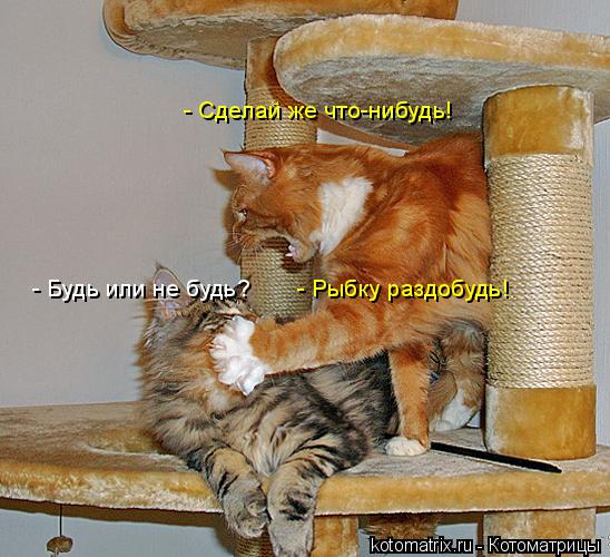 Котоматрица: - Сделай же что-нибудь! - Будь или не будь? - Рыбку раздобудь!
