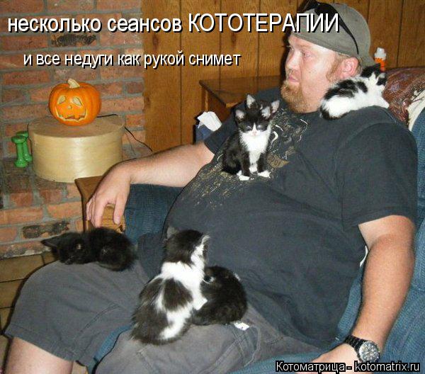 несколько сеансов КОТОТЕРАПИИ и все недуги как рукой снимет... Котоматрица: несколько сеансов КОТОТЕРАПИИ и все недуги как рукой снимет