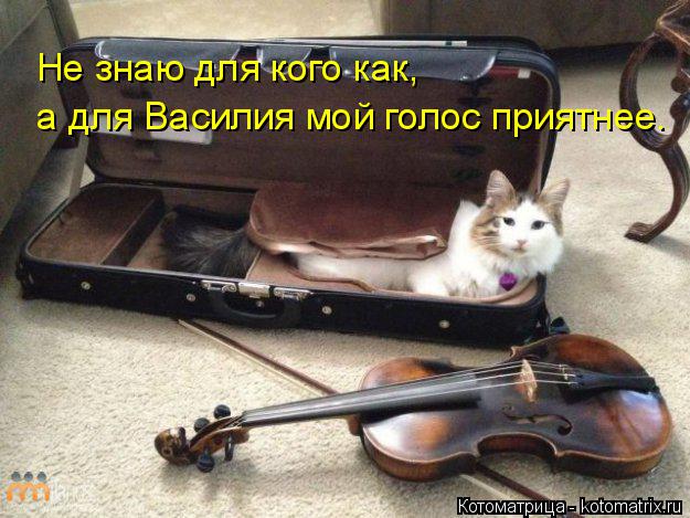 а для Василия мой голос приятнее. Не знаю для кого как,... Котоматрица: а для Василия мой голос приятнее. Не знаю для кого как,