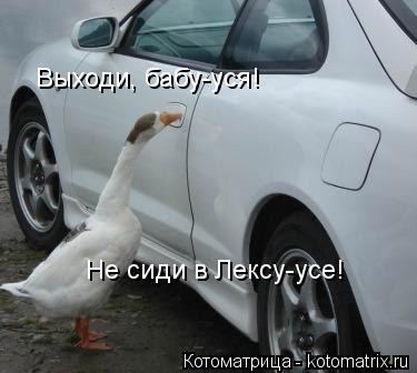 Котоматрица: Выходи, бабу-уся! Не сиди в Лексу-усе!