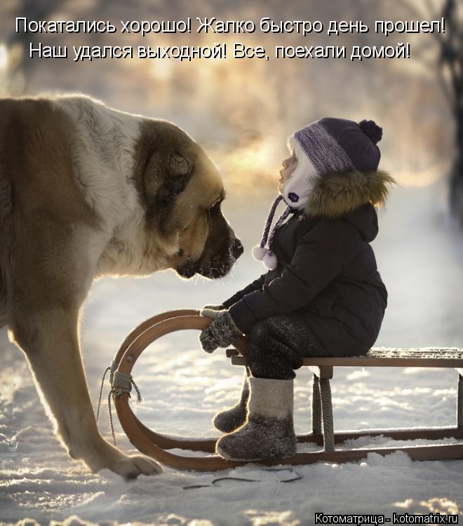 Покатались хорошо! Жалко быстро день прошел! Наш удался выходной! Все, поехали домой!... Котоматрица: Покатались хорошо! Жалко быстро день прошел! Наш удался выходной! Все, поехали домой!