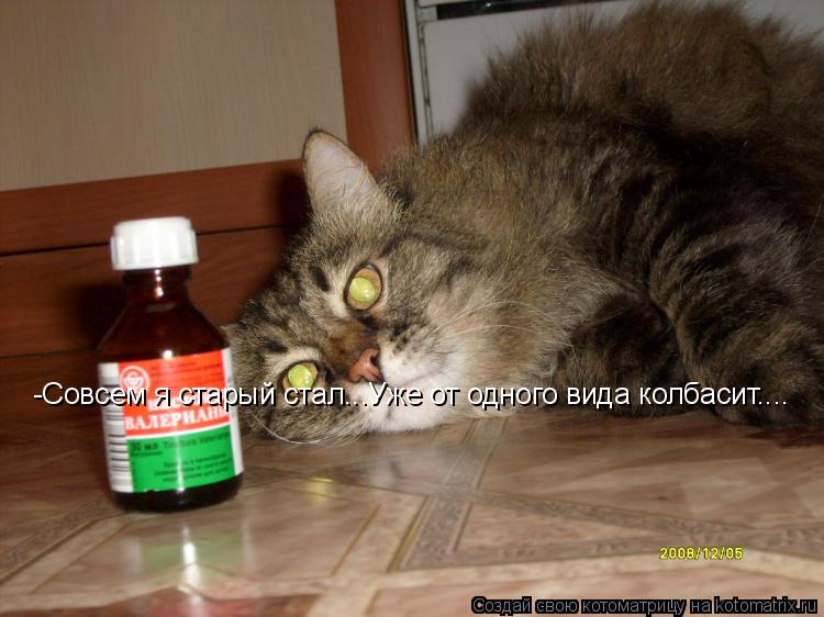 Котоматрица: -Совсем я старый стал...Уже от одного вида колбасит....