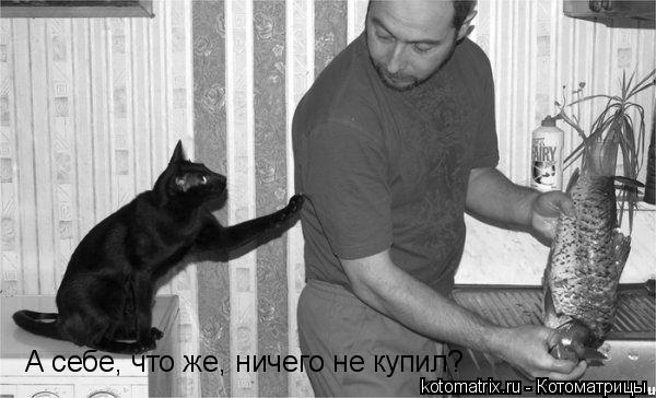 А себе, что же, ничего не купил?... Котоматрица: А себе, что же, ничего не купил?