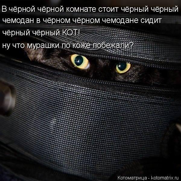 Котоматрица: В чёрной чёрной комнате стоит чёрный чёрный  чемодан в чёрном чёрном чемодане сидит  чёрный чёрный КОТ! ну что мурашки по коже побежали?