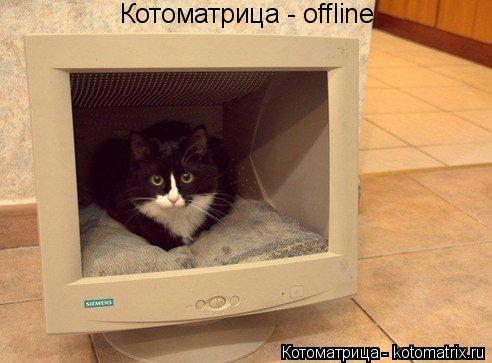 Котоматрица: Котоматрица - offline