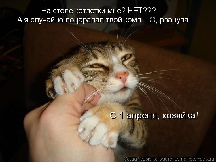 Котоматрица: На столе котлетки мне? НЕТ??? А я случайно поцарапал твой комп... О, рванула! С 1 апреля, хозяйка!