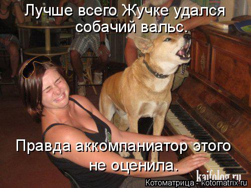 Котоматрица: собачий вальс. Правда аккомпаниатор этого не оценила. Лучше всего Жучке удался