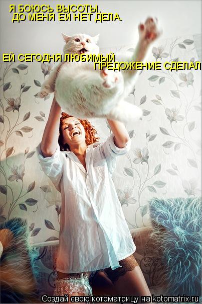 Котоматрица: Я БОЮСЬ ВЫСОТЫ. ДО МЕНЯ ЕЙ НЕТ ДЕЛА. ПРЕДОЖЕНИЕ СДЕЛАЛ. ЕЙ СЕГОДНЯ ЛЮБИМЫЙ