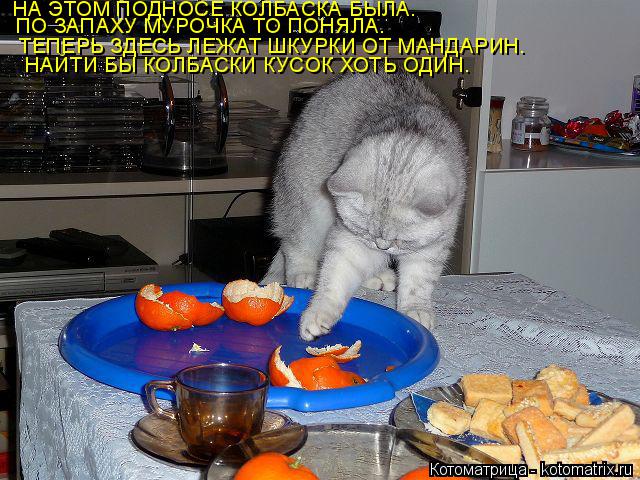 Котоматрица: НА ЭТОМ ПОДНОСЕ КОЛБАСКА БЫЛА. ПО ЗАПАХУ МУРОЧКА ТО ПОНЯЛА. ТЕПЕРЬ ЗДЕСЬ ЛЕЖАТ ШКУРКИ ОТ МАНДАРИН. НАЙТИ БЫ КОЛБАСКИ КУСОК ХОТЬ ОДИН.