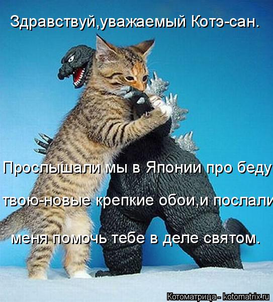 Котоматрица: Здравствуй,уважаемый Котэ-сан. Прослышали мы в Японии про беду  твою-новые крепкие обои,и послали меня помочь тебе в деле святом.