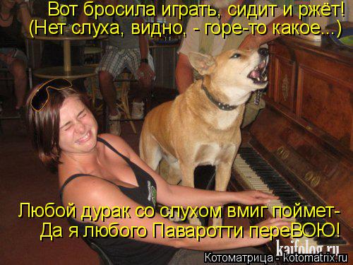 Котоматрица: Вот бросила играть, сидит и ржёт! (Нет слуха, видно, - горе-то какое...) Любой дурак со слухом вмиг поймет- Да я любого Паваротти переВОЮ!