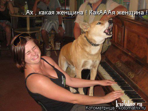 Котоматрица: ..Ах , какая женщина ! КакАААя женщина !!!