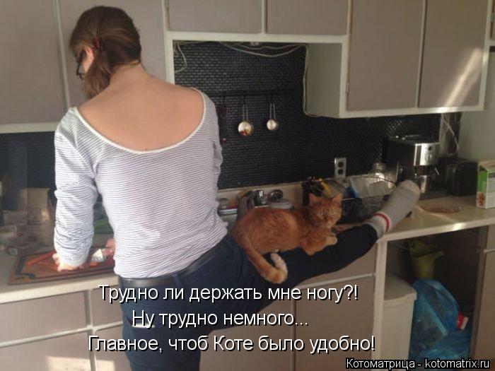 Котоматрица: Главное, чтоб Коте было удобно! Трудно ли держать мне ногу?! Ну трудно немного...