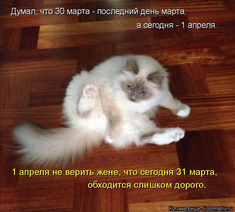 Котоматрица: Думал, что 30 марта - последний день марта, а сегодня - 1 апреля. 1 апреля не верить жене, что сегодня 31 марта,  обходится слишком дорого.