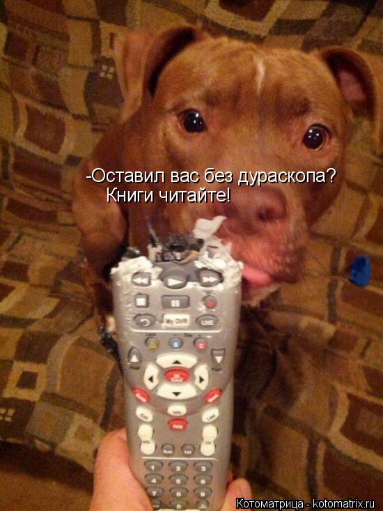 Котоматрица: -Оставил вас без дураскопа? Книги читайте!