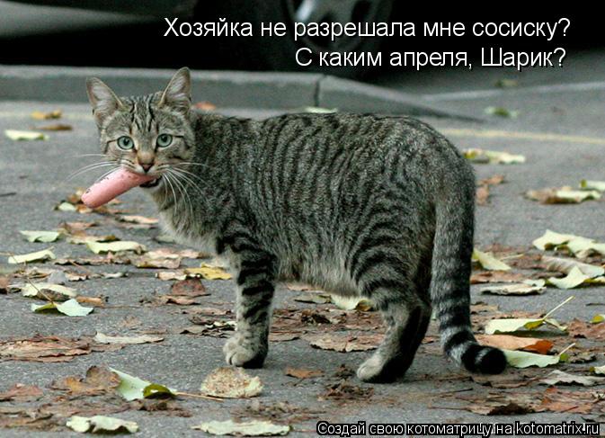 Котоматрица: Хозяйка не разрешала мне сосиску? С каким апреля, Шарик?
