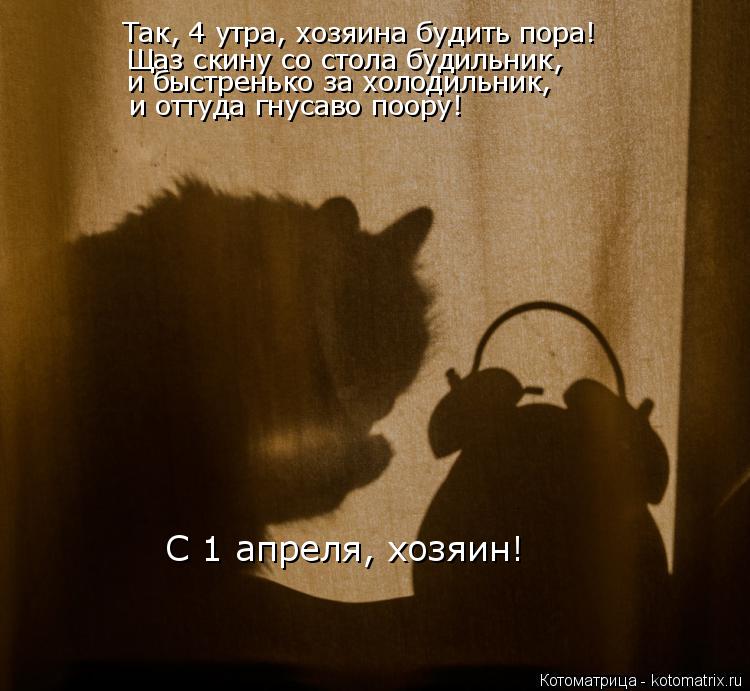 Котоматрица: Так, 4 утра, хозяина будить пора! Щаз скину со стола будильник, С 1 апреля, хозяин! и оттуда гнусаво поору! и быстренько за холодильник,