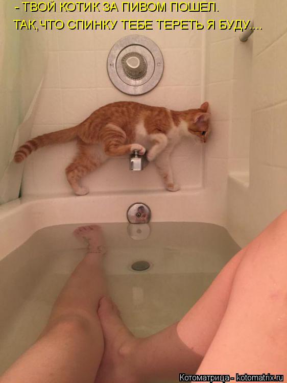 - ТВОЙ КОТИК ЗА ПИВОМ ПОШЕЛ. ТАК,ЧТО СПИНКУ ТЕБЕ ТЕРЕТЬ Я БУДУ....... Котоматрица: - ТВОЙ КОТИК ЗА ПИВОМ ПОШЕЛ. ТАК,ЧТО СПИНКУ ТЕБЕ ТЕРЕТЬ Я БУДУ....