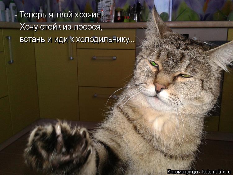 Котоматрица: - Теперь я твой хозяин! Хочу стейк из лосося, встань и иди к холодильнику...