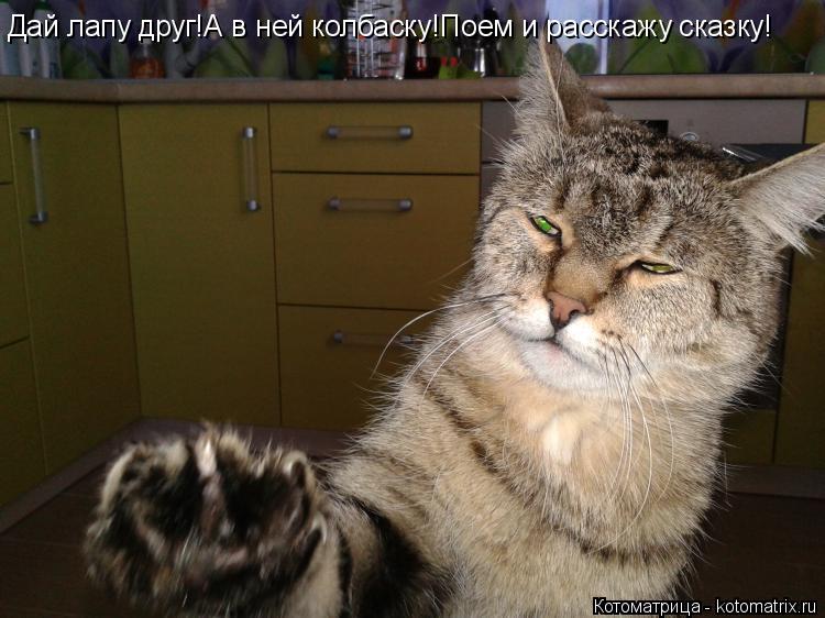Дай лапу друг!А в ней колбаску!Поем и расскажу сказку!... Котоматрица: Дай лапу друг!А в ней колбаску!Поем и расскажу сказку!